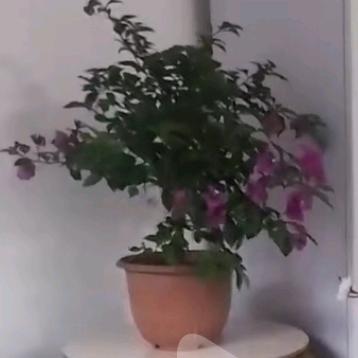 走在路上光拾钱