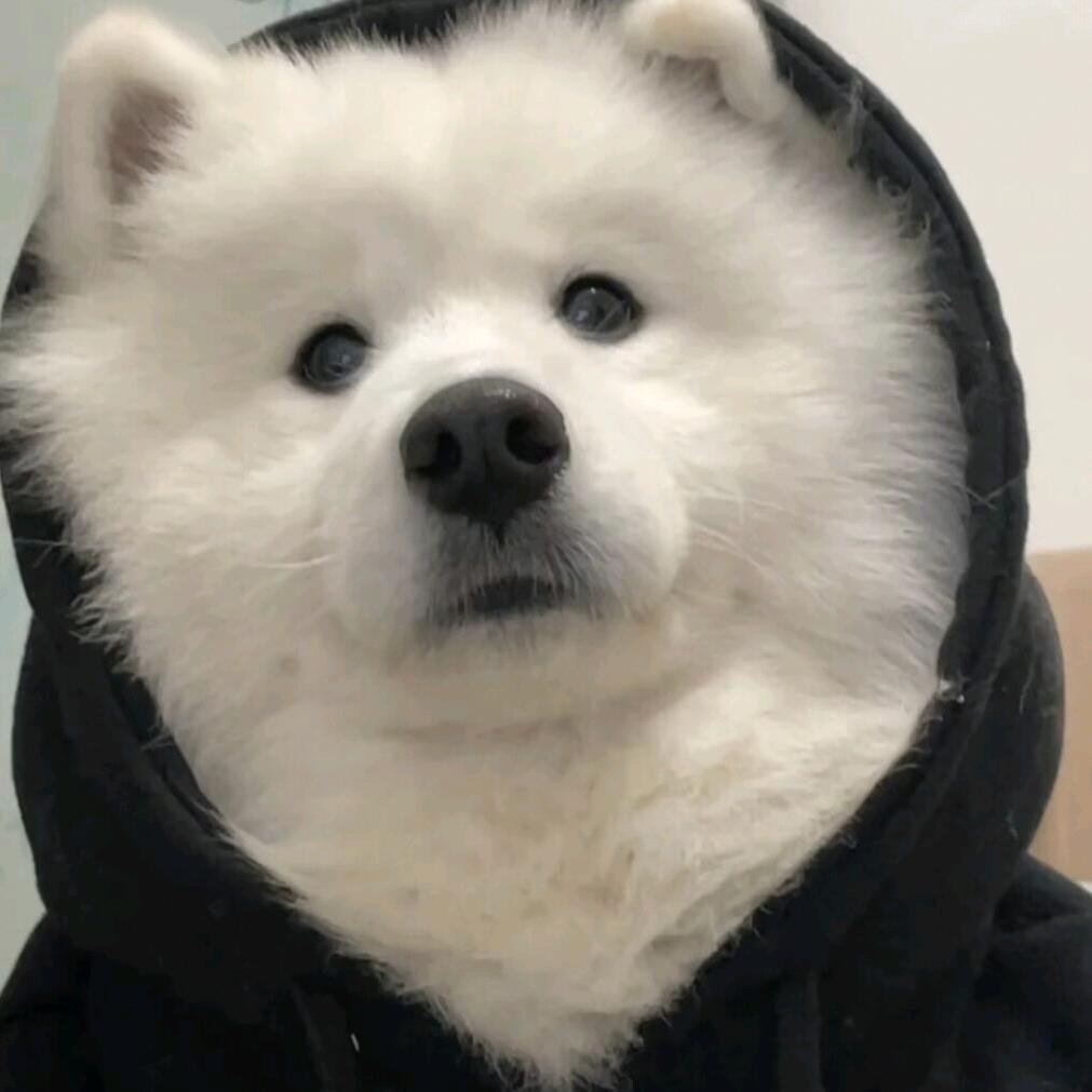 落秋