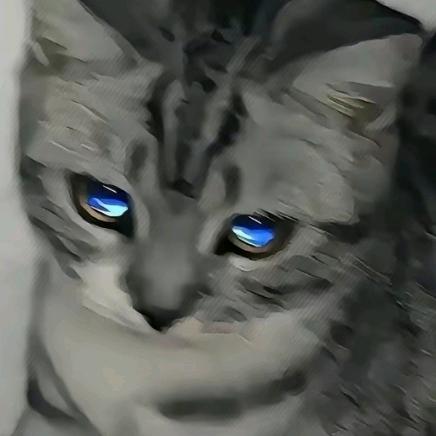 痞傲阳