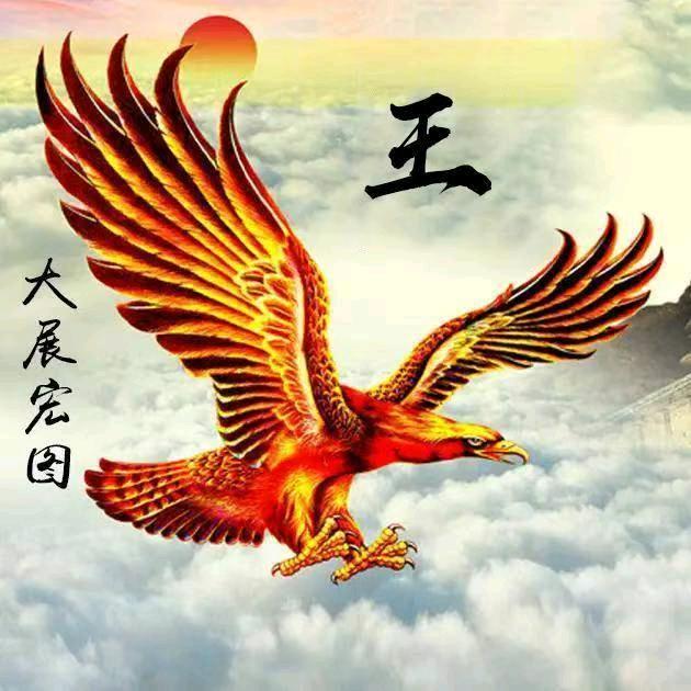 废钢大王伟峰