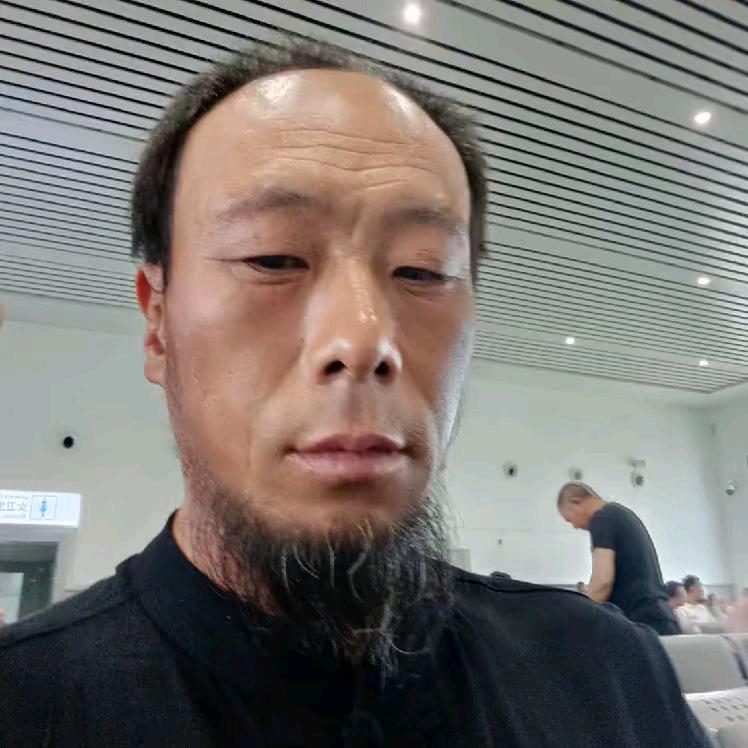 🍃孤独青狼🍃