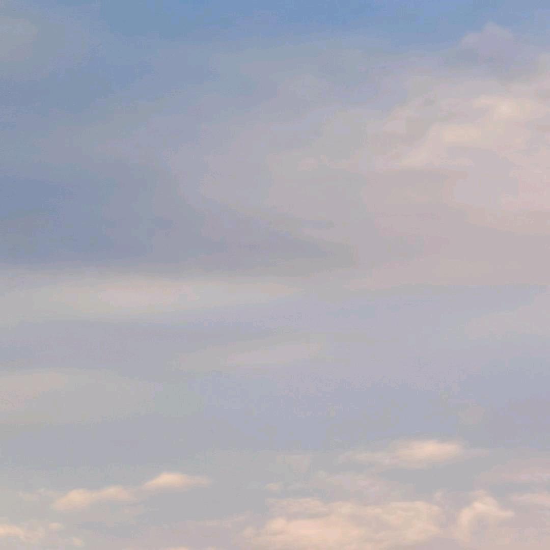 微风吹下一片树叶