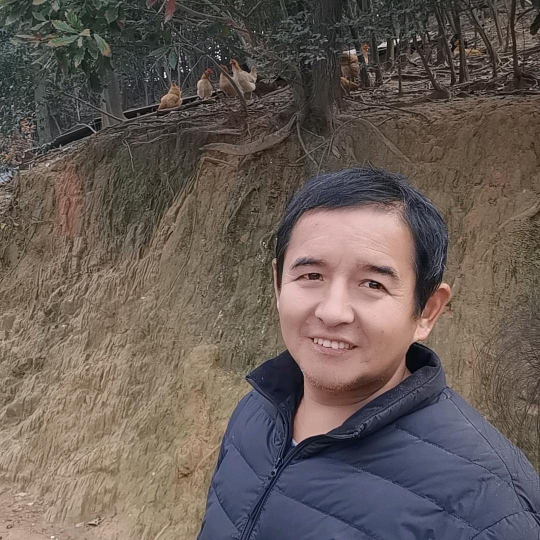 山里刘哥土鸡