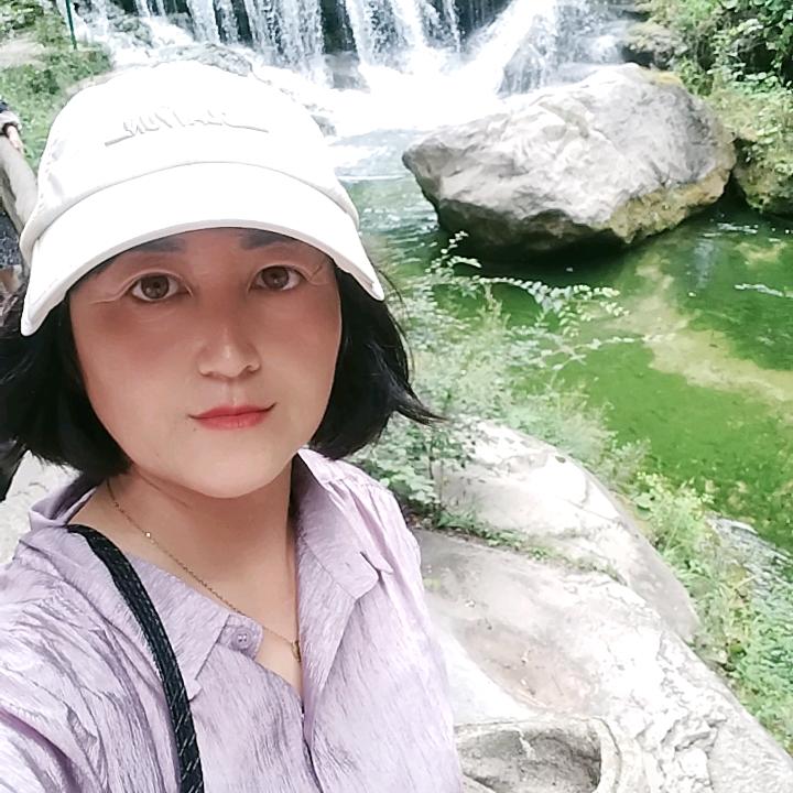 夏夜睡莲