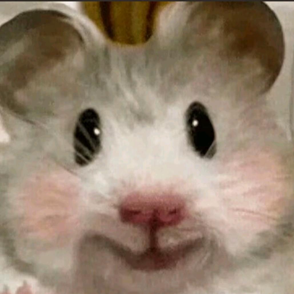 数
