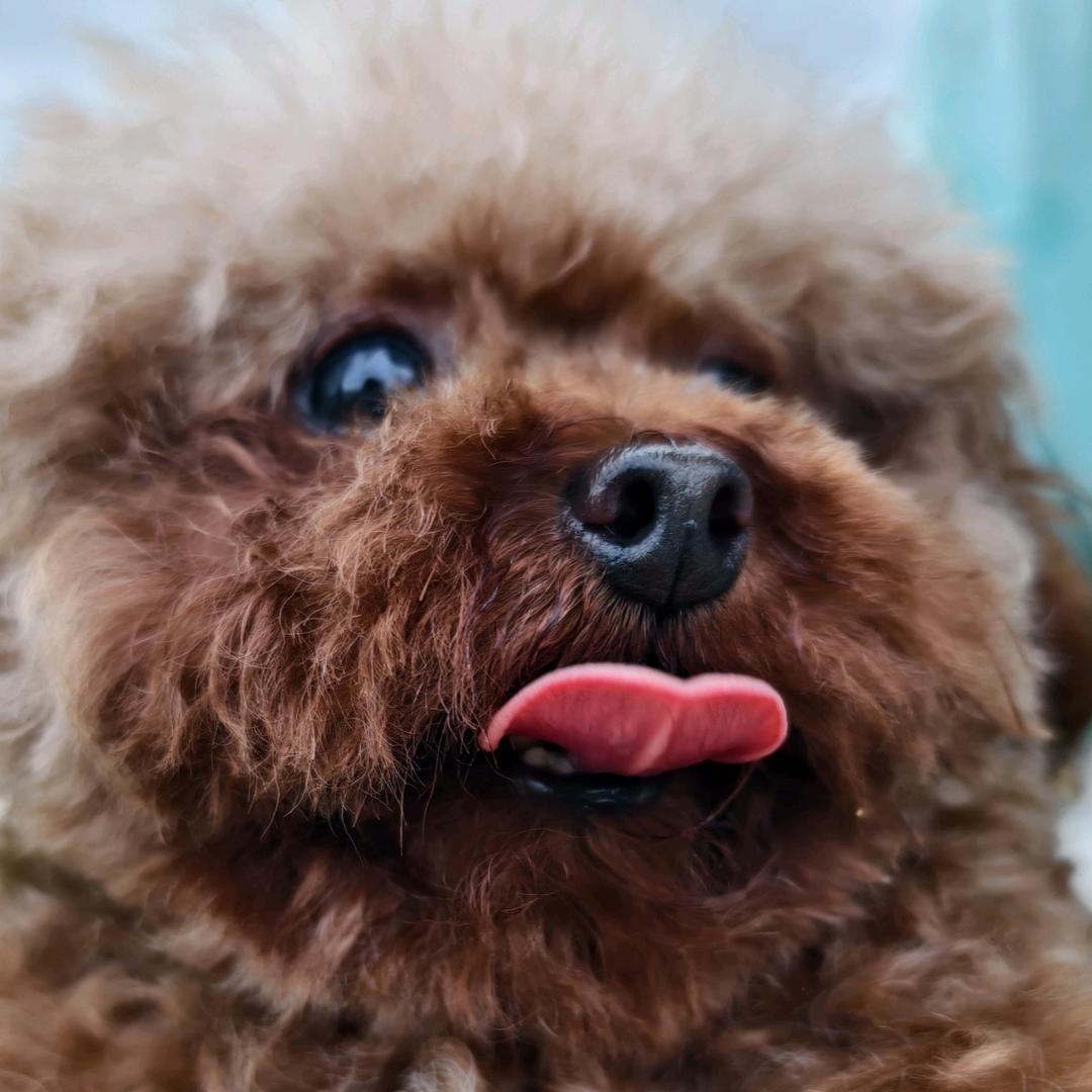 自私自利的人请远离