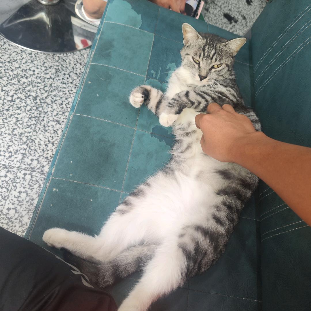 涨粉🔥交个朋友