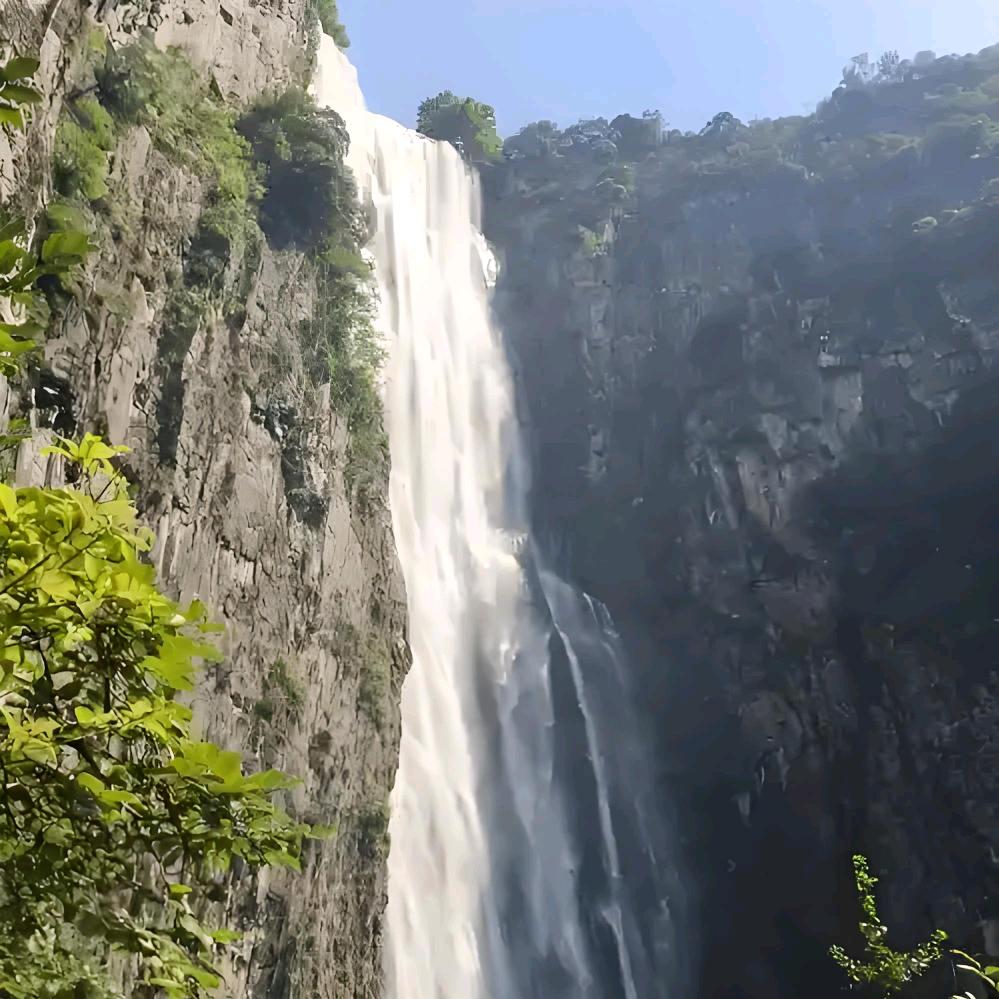 @大晨庄稼汉🔥