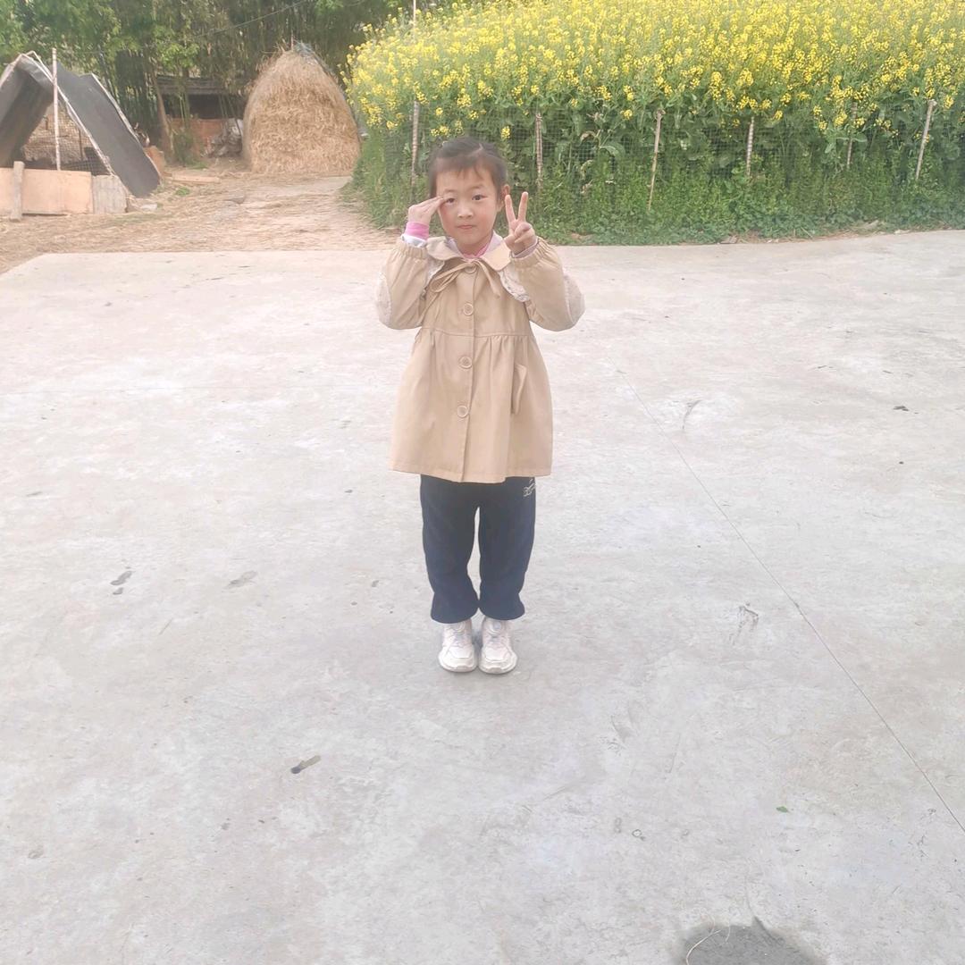 彩虹之约