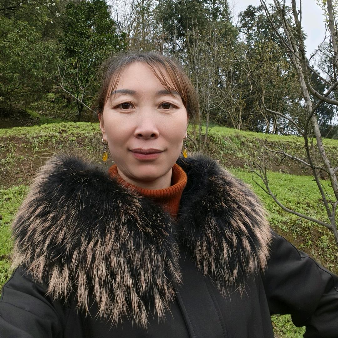 艾姐姐