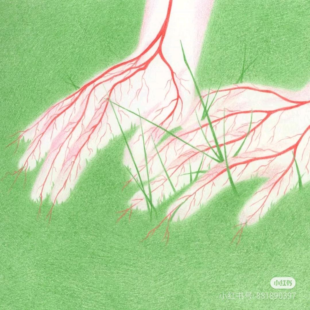 小新不能没有蜡笔