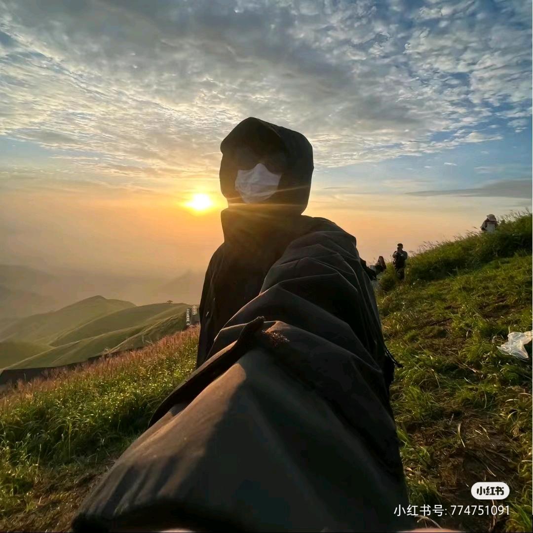 小羊毛诶