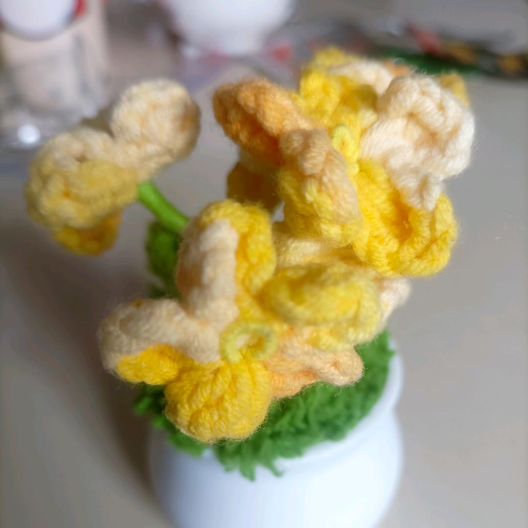 天天