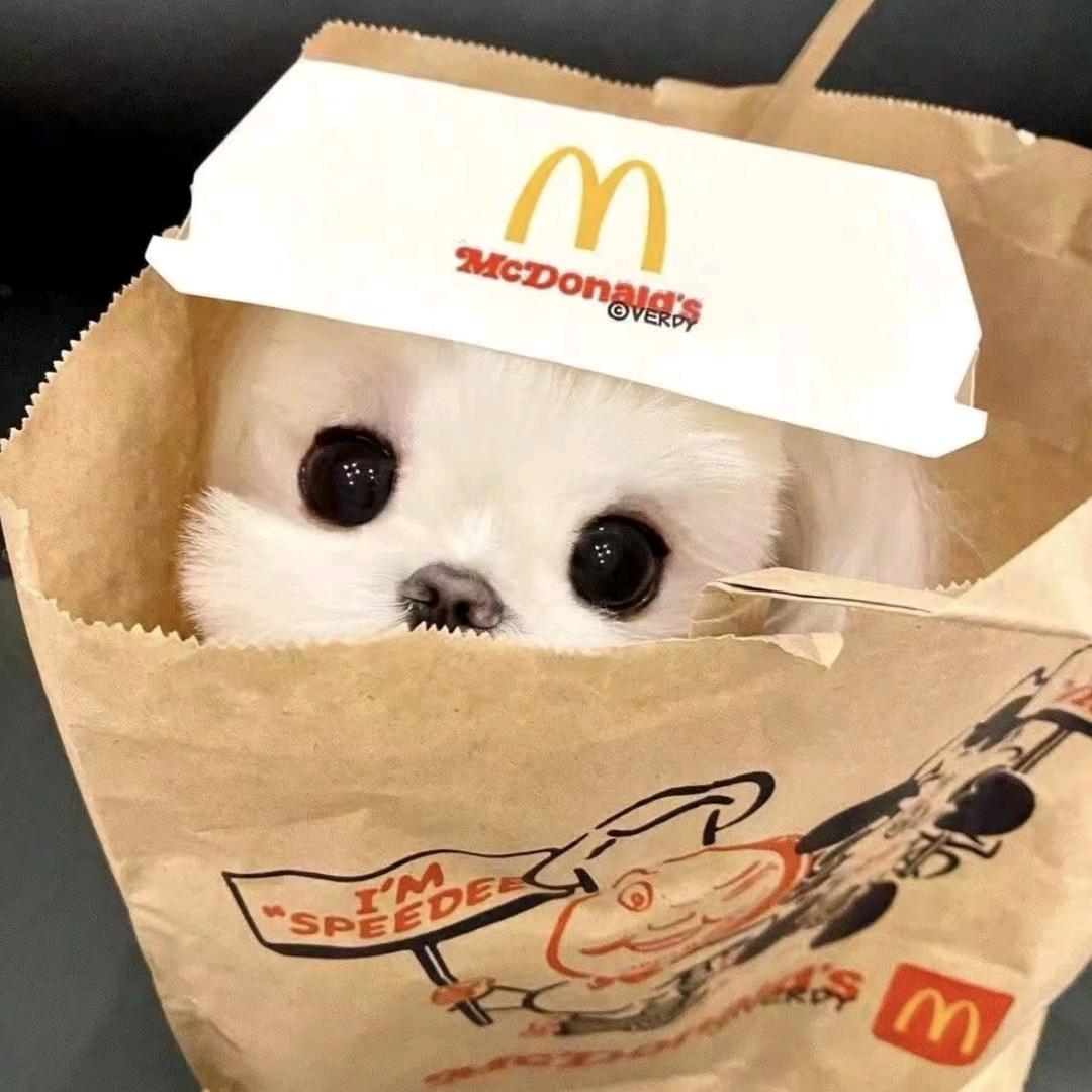 卖辛慧的小火柴