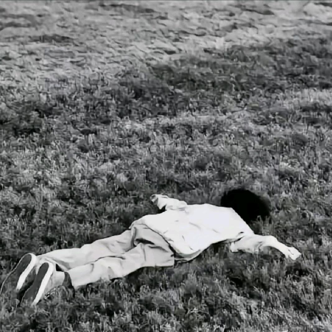 西伯利亚花果山社恐蕾丝性感大母猴