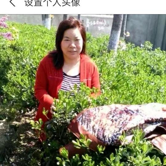 忘记过去，从生未来