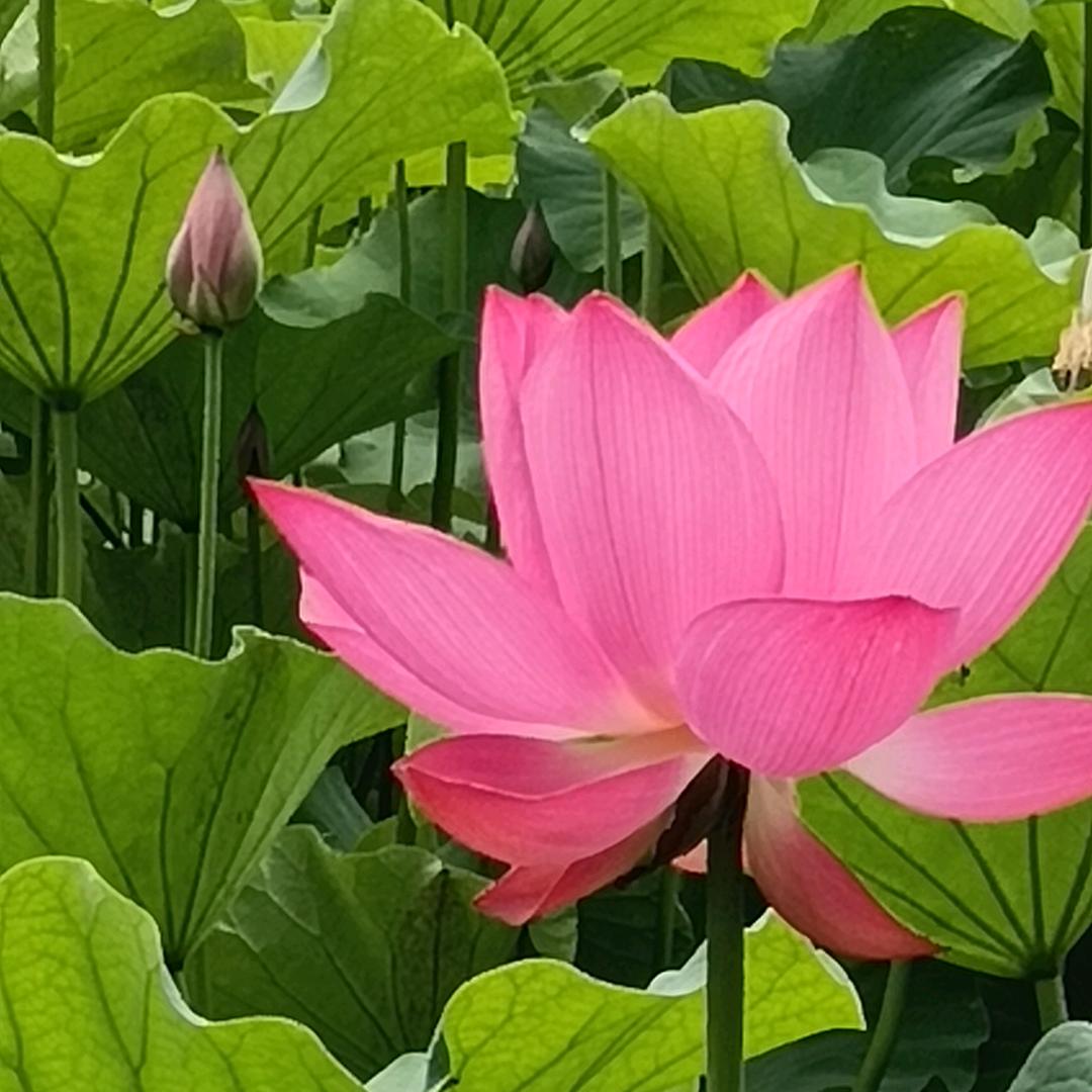 用户858245443363安然