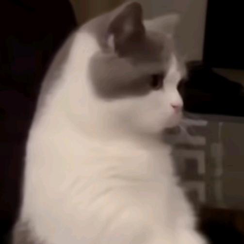锦成