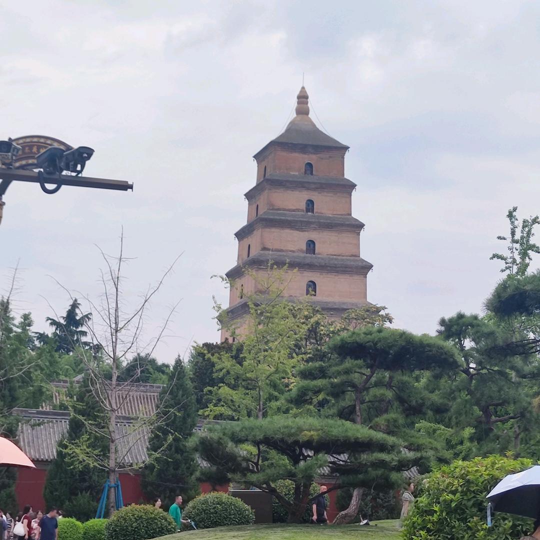 清风拂明月