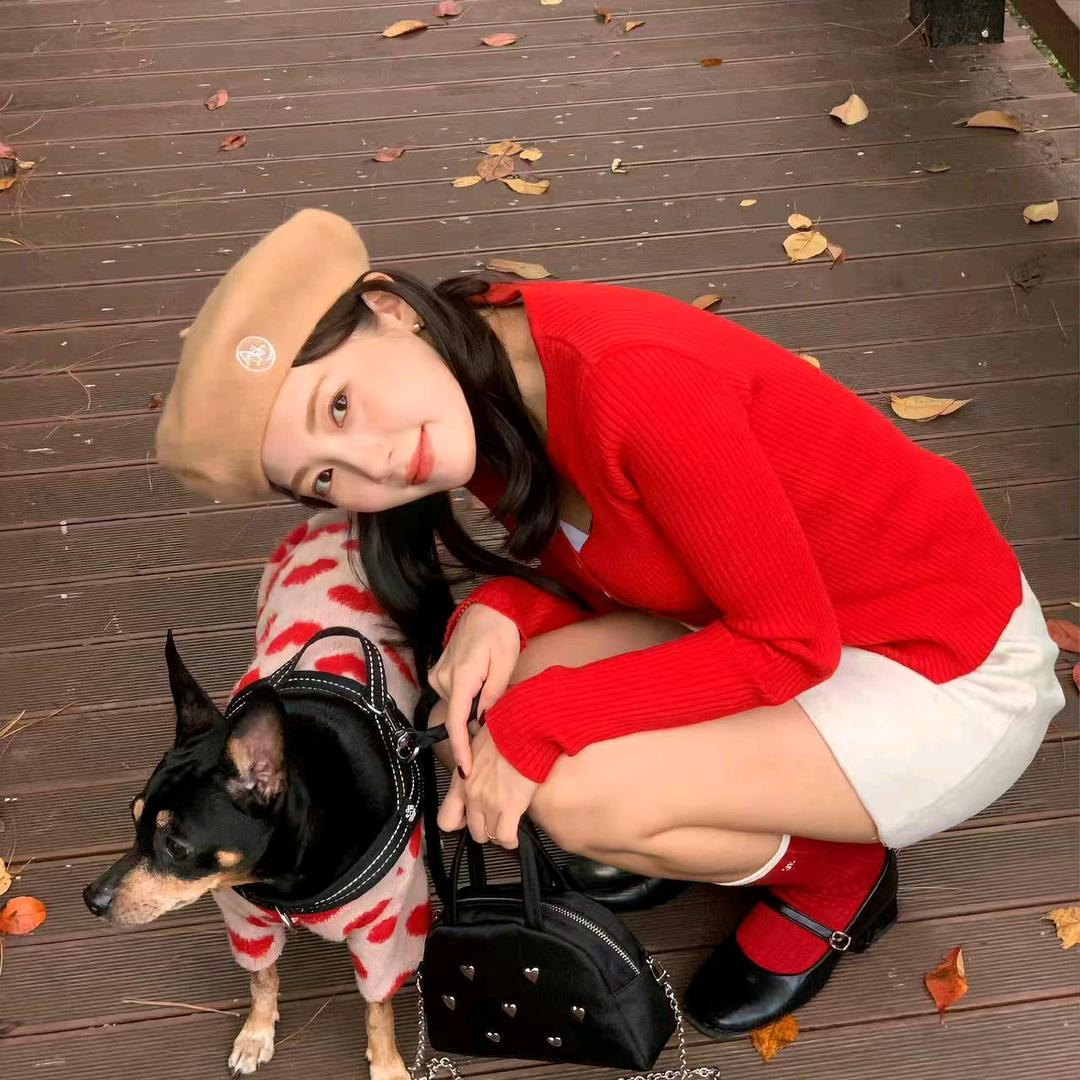 小熊没朋友（关注）