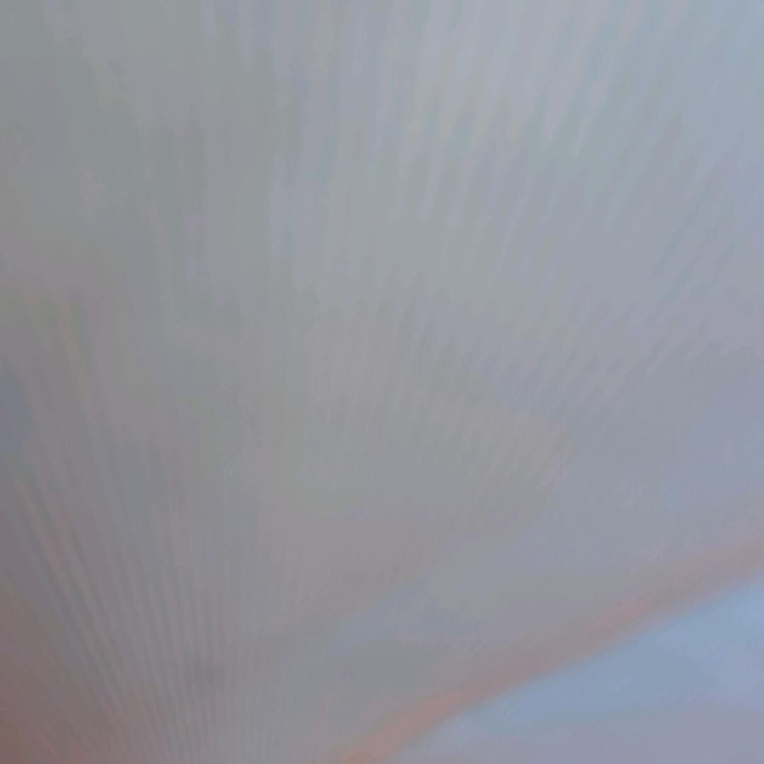 小飞