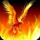 石河子市绿源康达养猪合作社