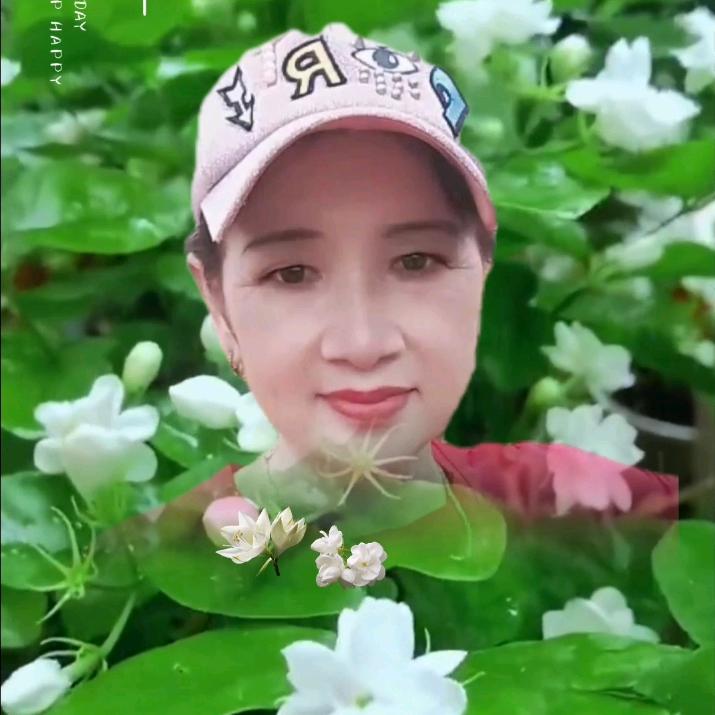 花好月圆
