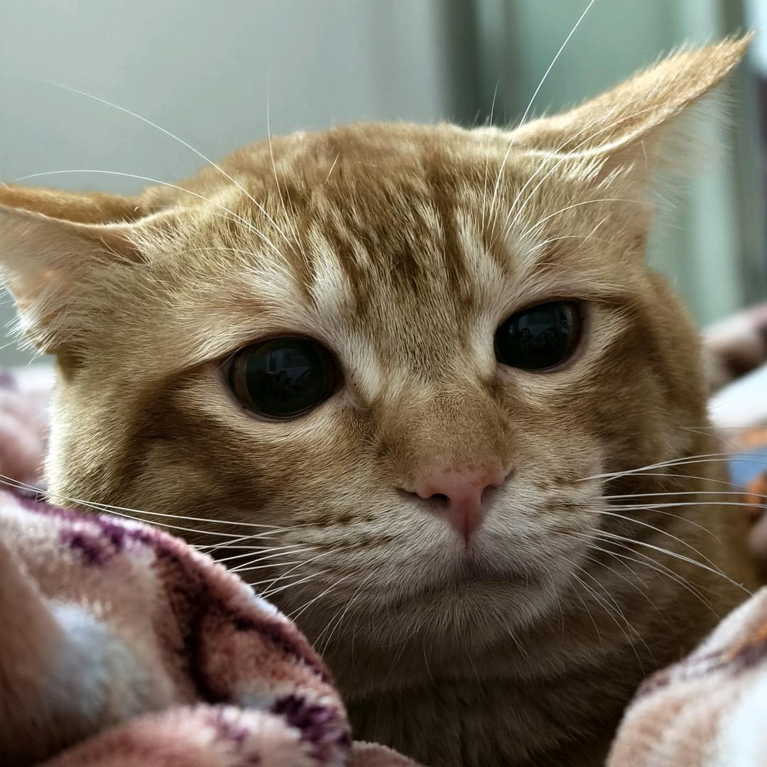 骑着蜗牛追导弹