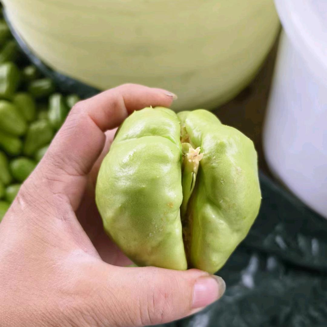 天意农业