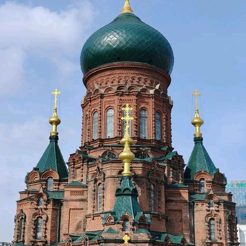 不朽的青春有个放肆的梦