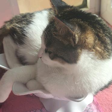 坤宇👩👩麻麻