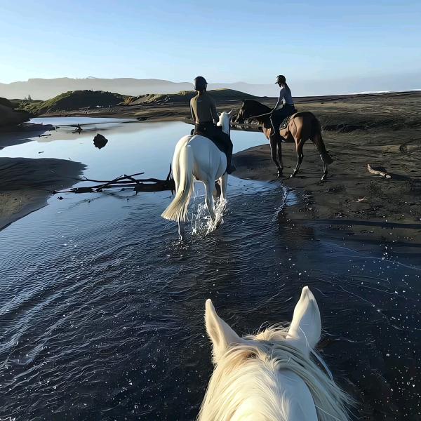:🚬এ᭄一介?俗人