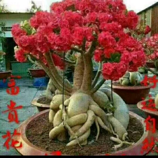 温暖