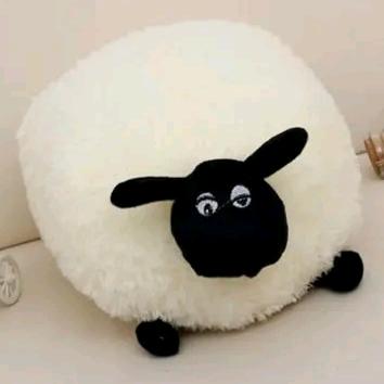 安徽最后的老实人