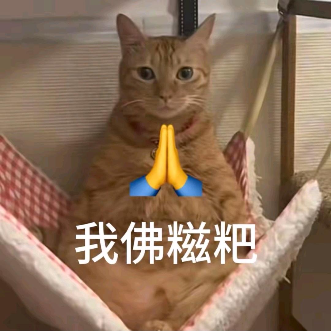 🚬এ᭄一介🎋俗人ღᩚ᭄🍺