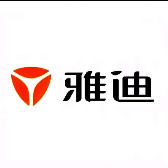 雅迪电动车（苏锦二村店）