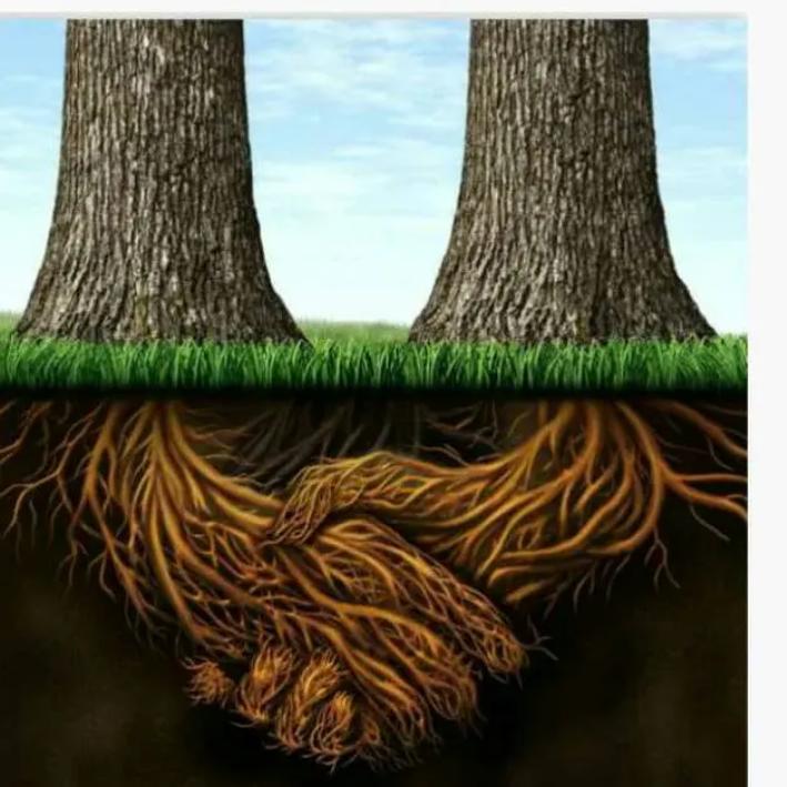 人生过客，一切随缘