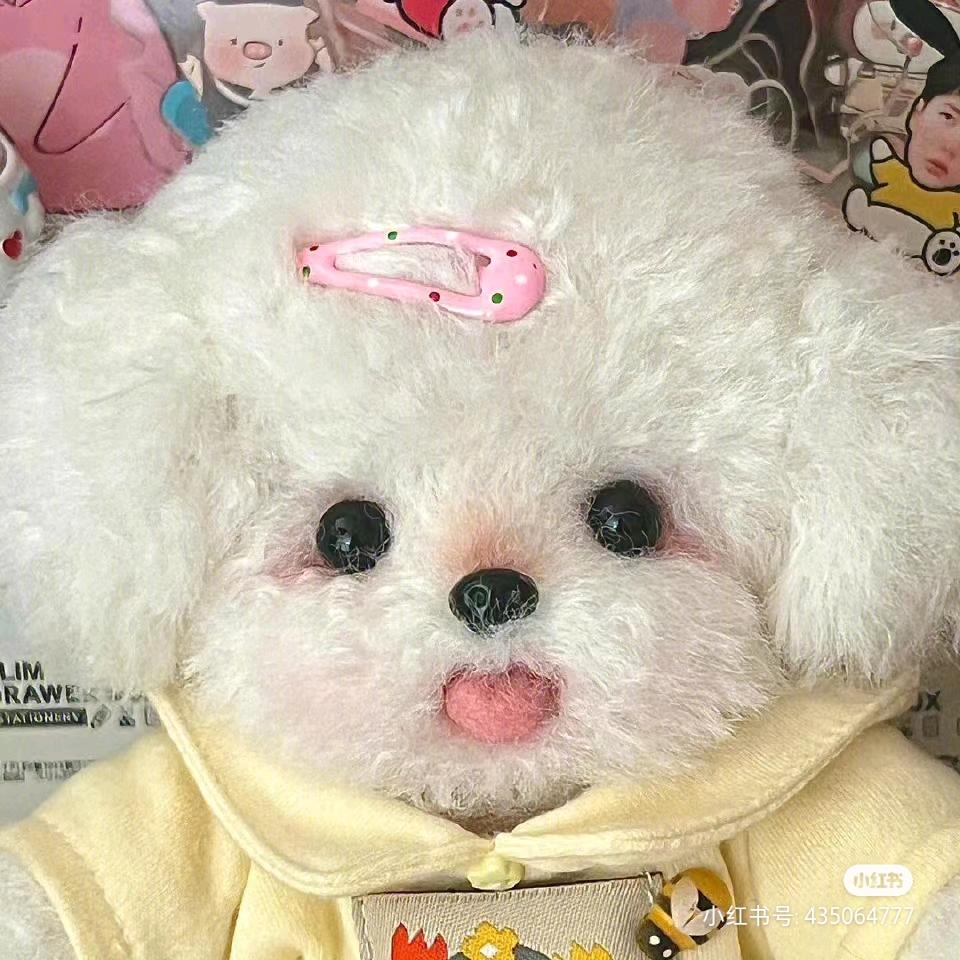 胡萝卜须（许嵩见过三次版）