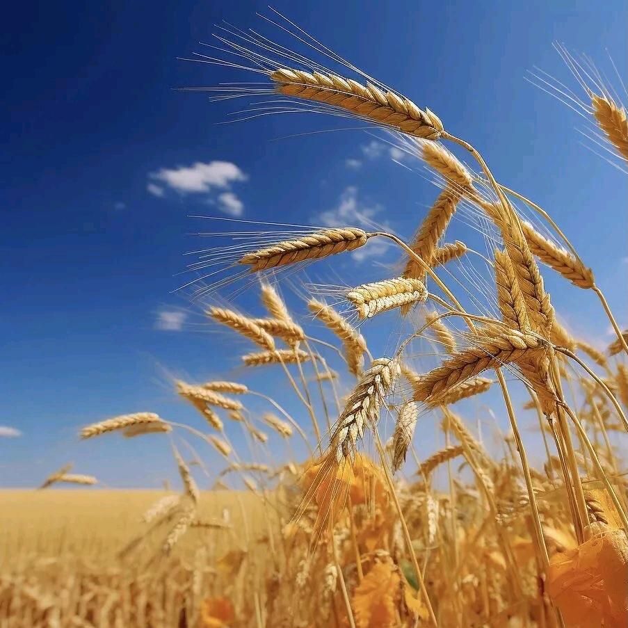 幸福生活乐淘淘