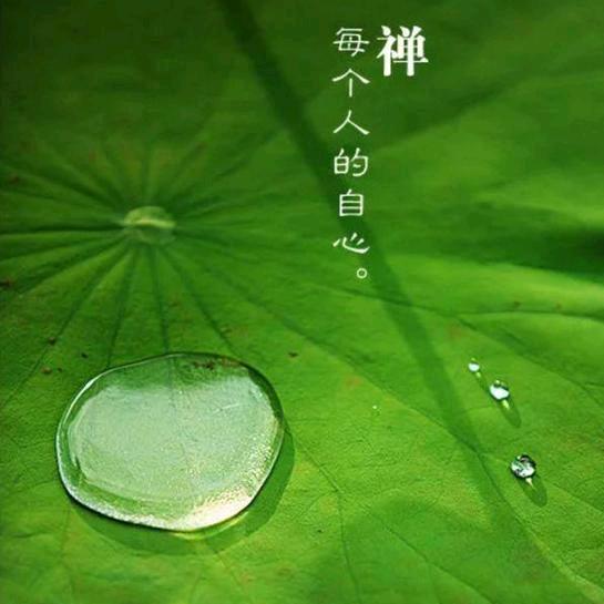 有无相生
