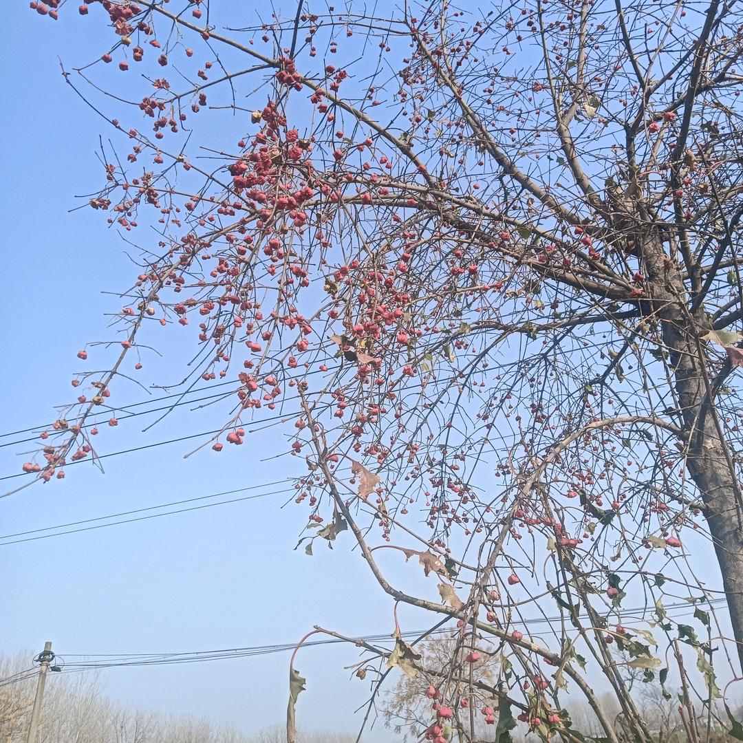 没了