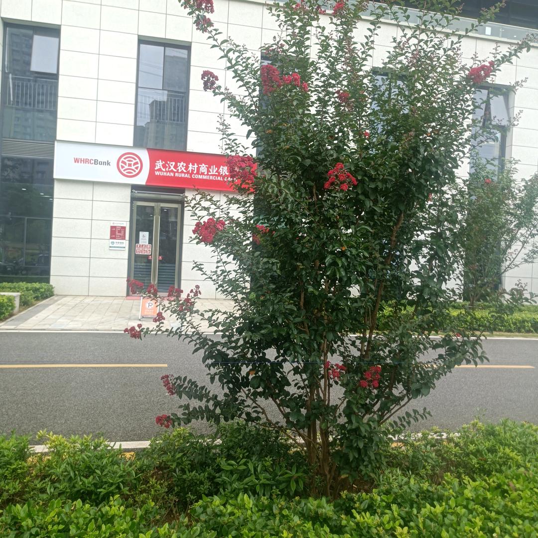 骆大平头像