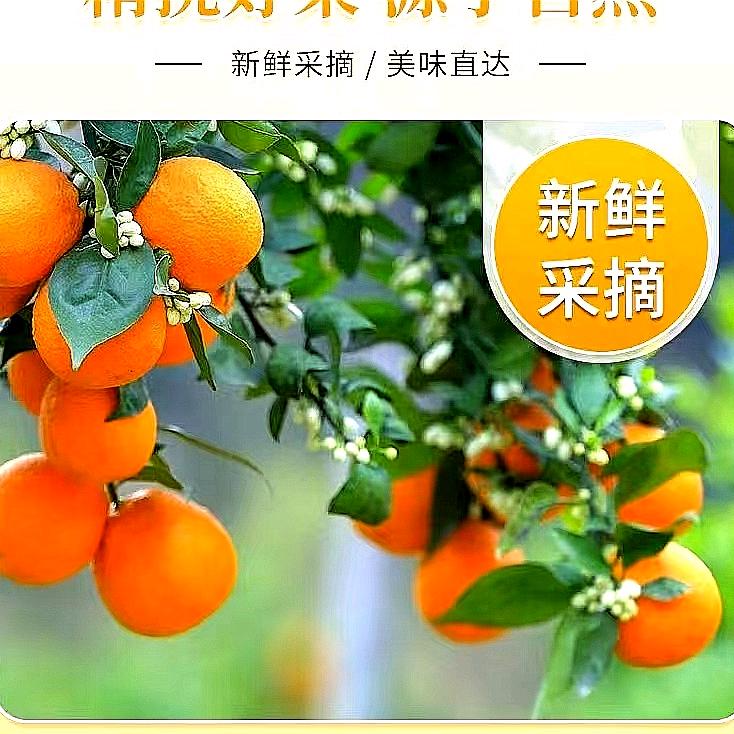 弥橙园生鲜店