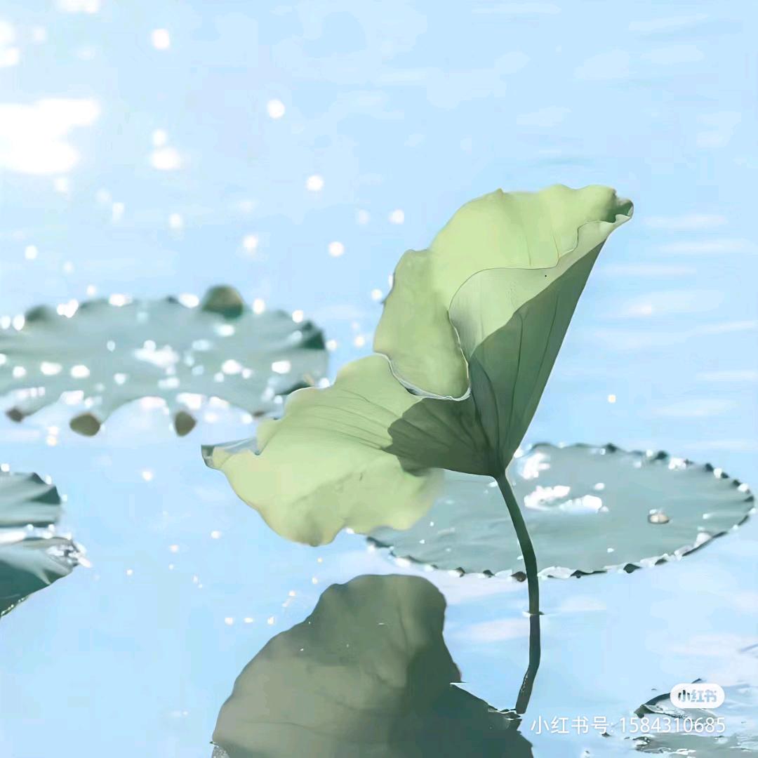 zhengge