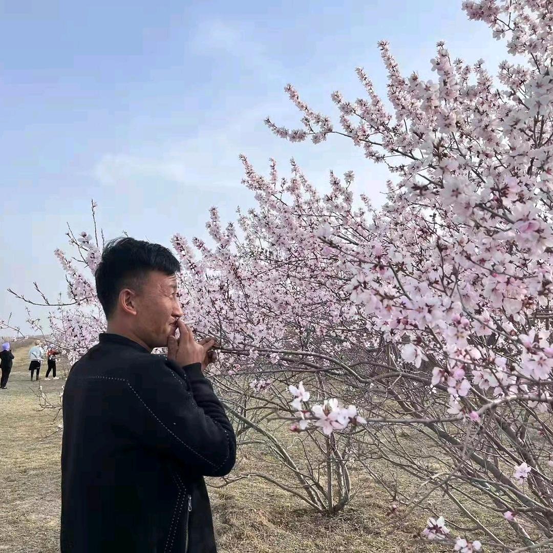 ღ᭄何⁵²º先₁₃₁₄生