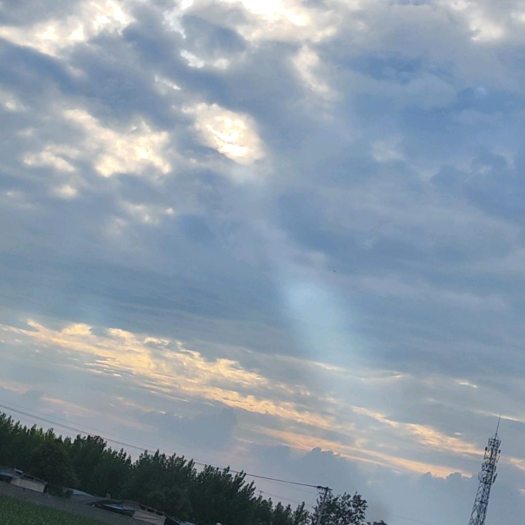 因节甜水果