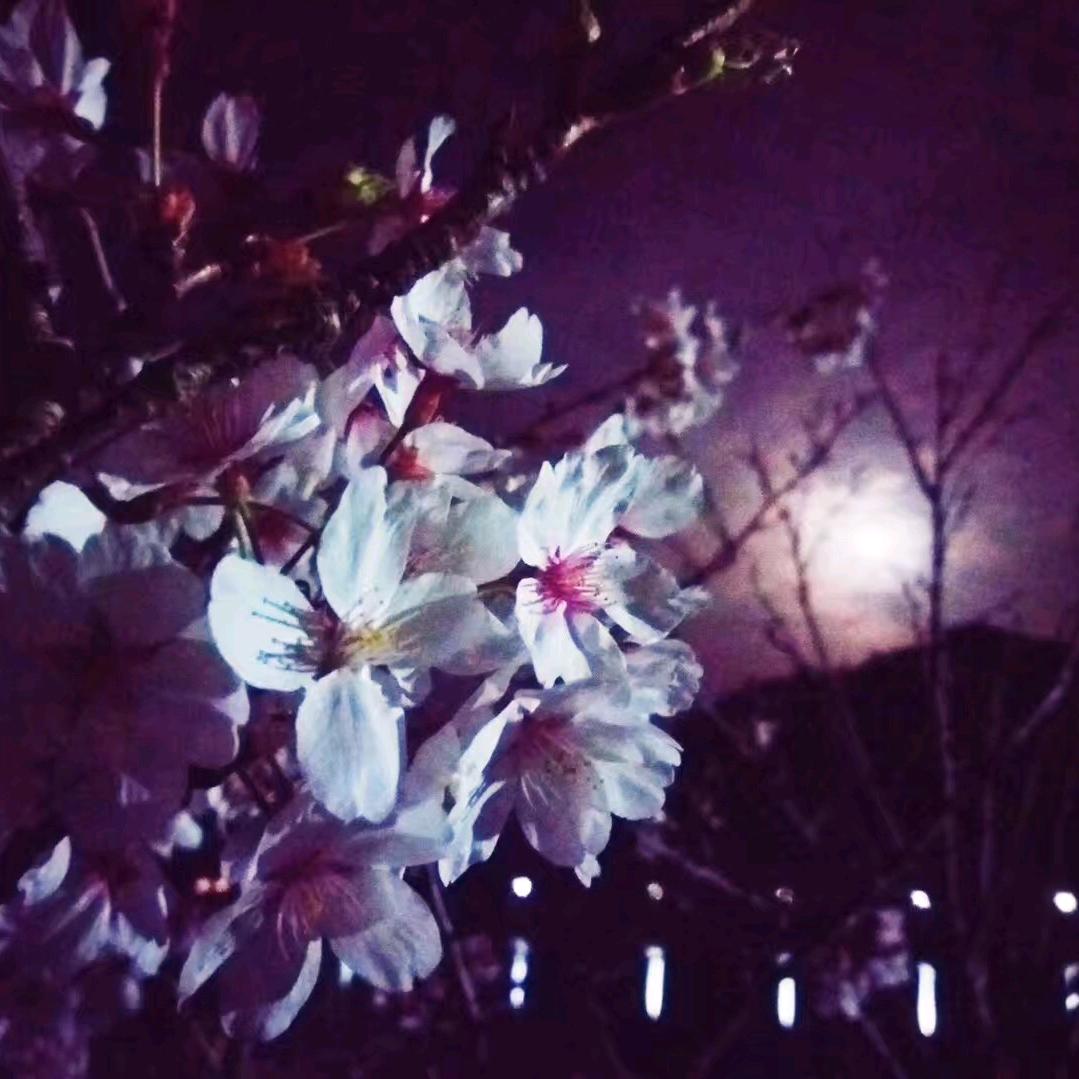 大A幼儿园小班班长