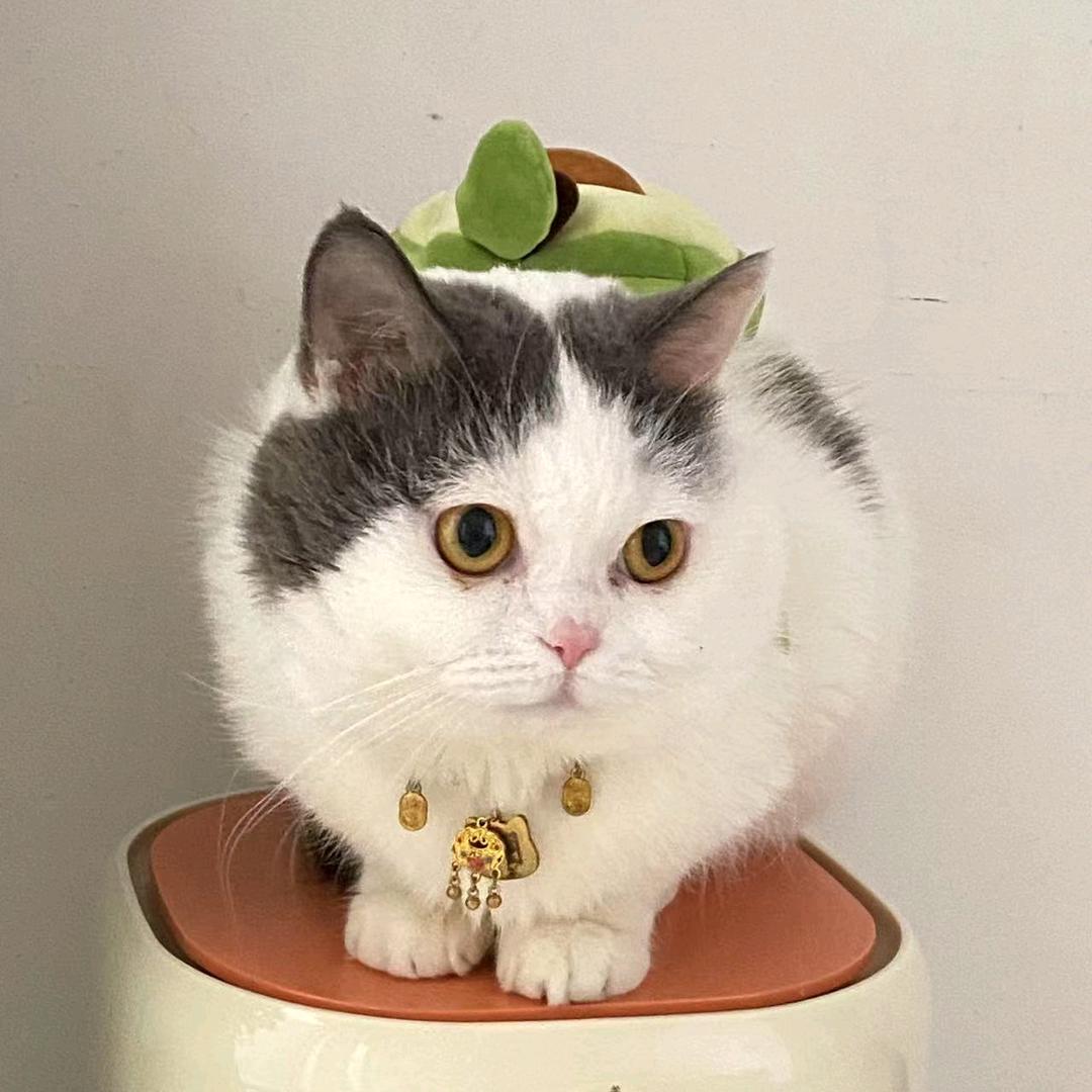 好物优选