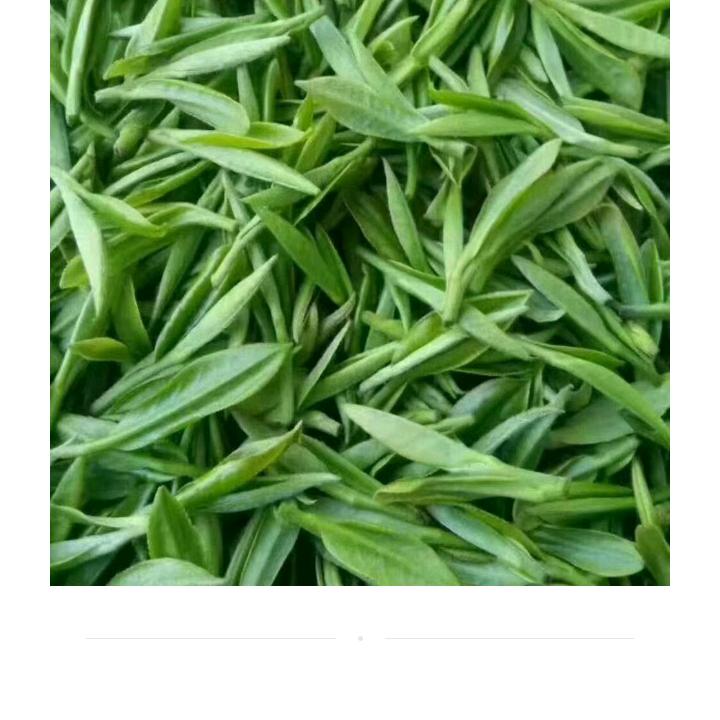 高山黄芽，自产自销，价格便宜，18956