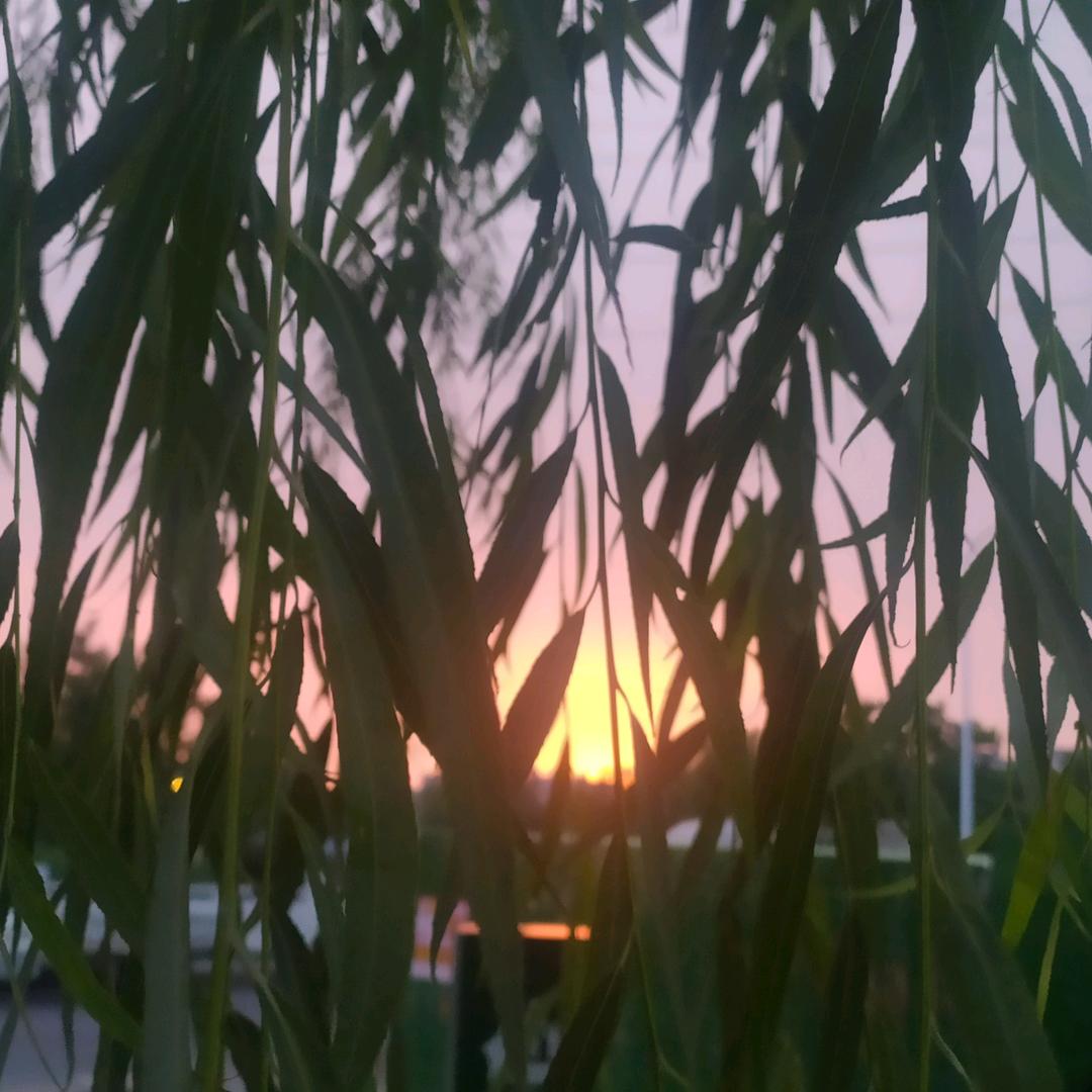 勇气是唯一的信仰